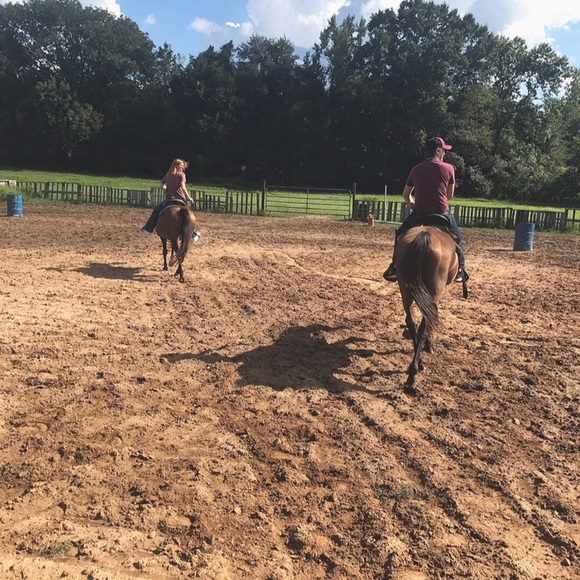 Other - Horse tack sale!